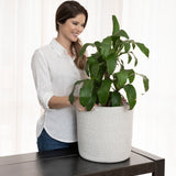 2-Pack Mixed Gray Planter Basket