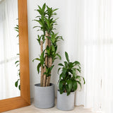2-Pack Gray Planter Basket
