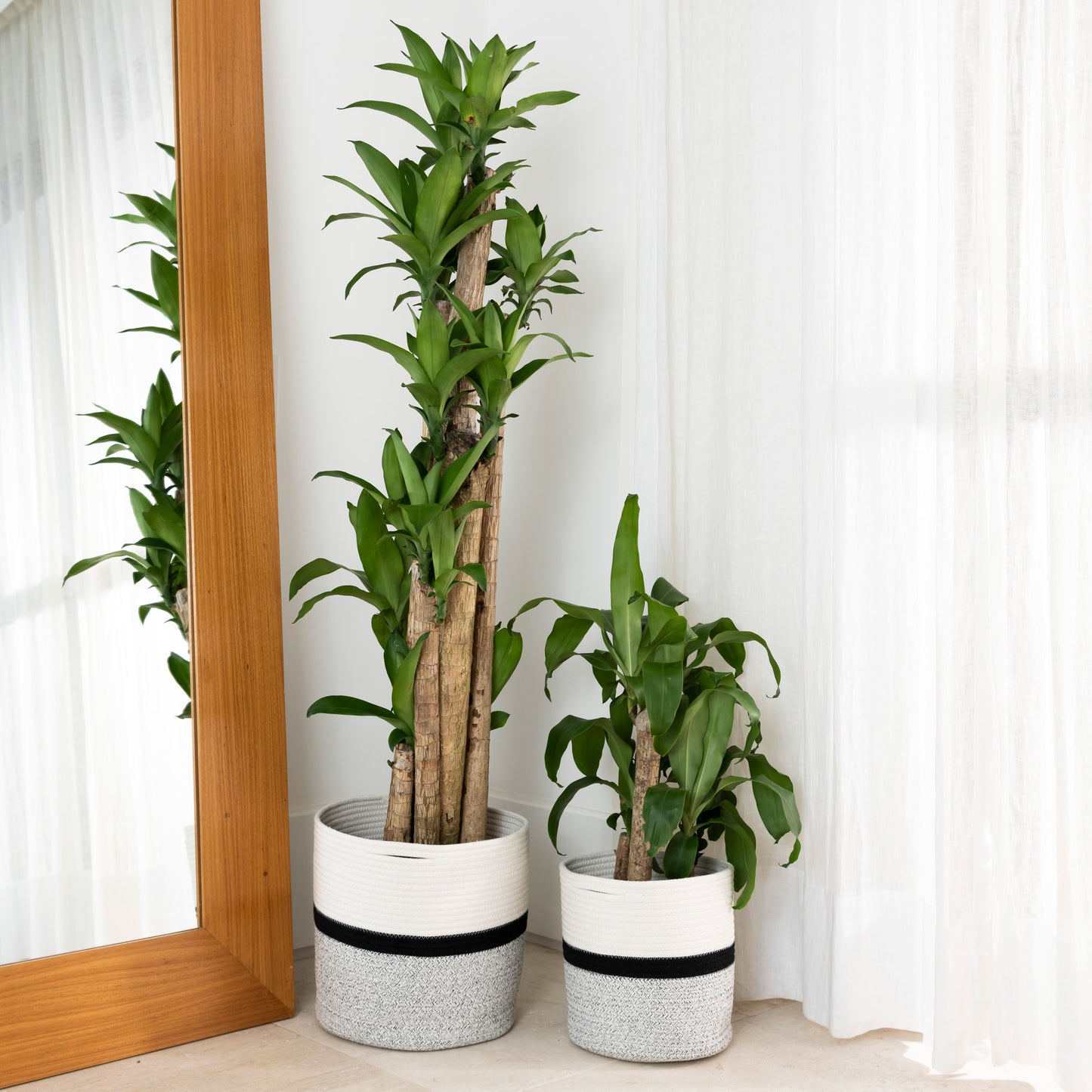 2-Pack Planter Basket - Off-White, Black and Gray