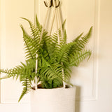 Cotton Rope Hanging Planter Basket - Set of 2 - Full Off-White