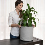 2-Pack Gray Planter Basket