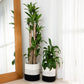2-Pack Planter Basket - White & Off White w/ Stitches