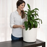 2-Pack Off-White Planter Basket