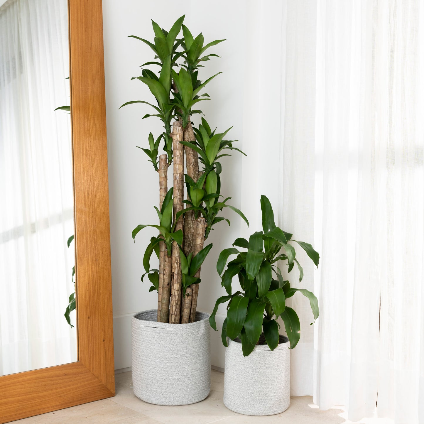 2-Pack Mixed Gray Planter Basket