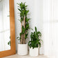 2-Pack Off-White Planter Basket