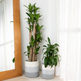 2-Pack Toned Gray Planter Basket