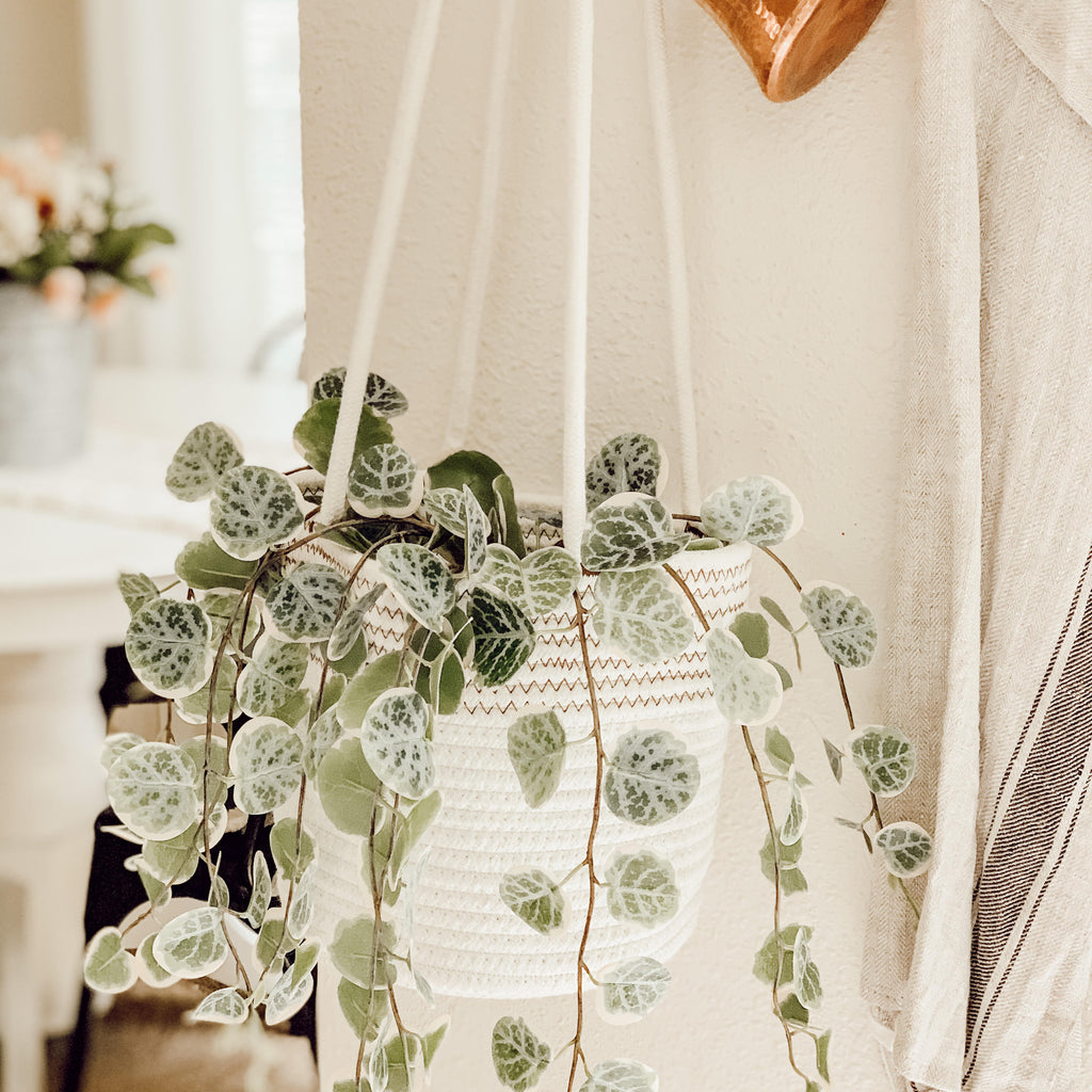 white rope hanging planter Cotton Rope Hanging Planter Basket - Set of 2