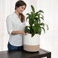 2-Pack Planter Basket - Honey & Off-White