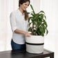 2-Pack Planter Basket - Off-White, Black and Gray