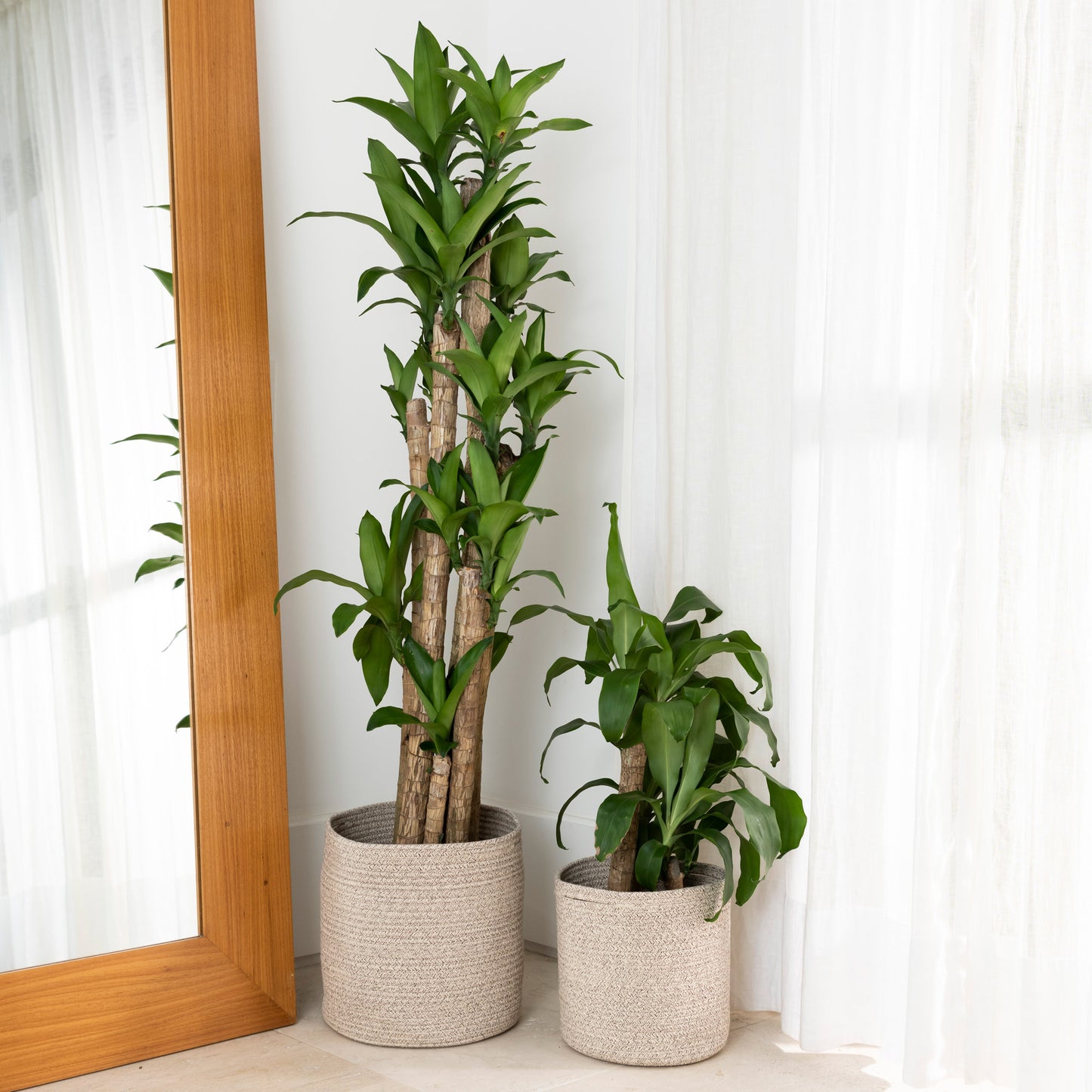 2-Pack Brown Planter Basket