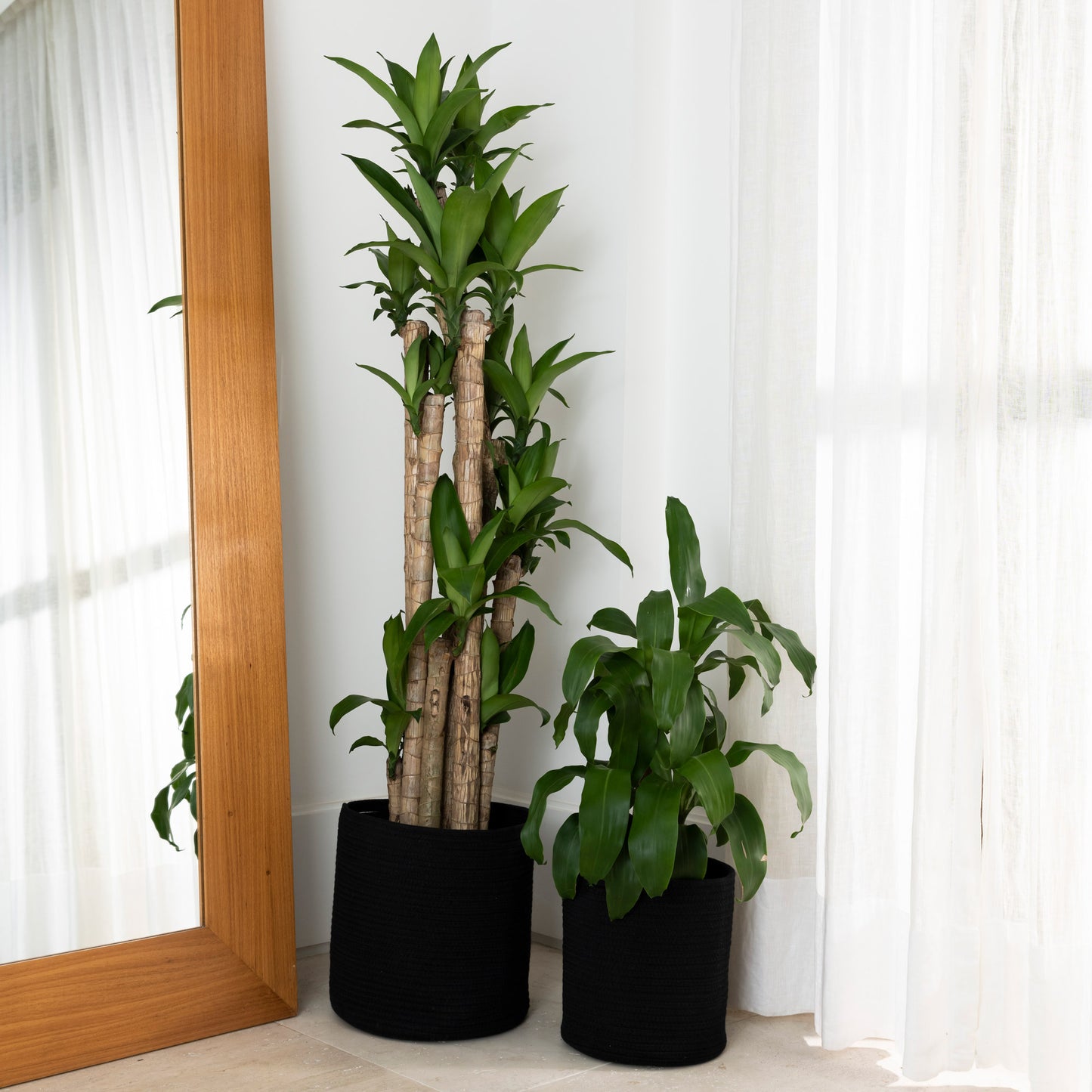 2-Pack Black Planter Basket