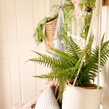 Cotton Rope Hanging Planter Basket - Set of 2 - Full Off-White