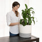 2-Pack Planter Basket - White & Gray