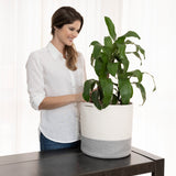 2-Pack Planter Basket - White & Gray