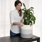 2-Pack Toned Gray Planter Basket